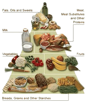 Food Pyramid for Diabetics