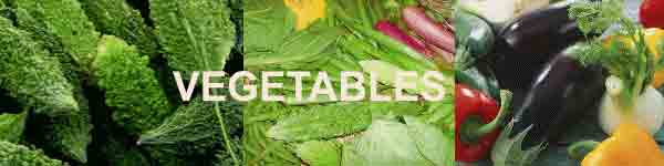 Diet tips- Vegetables good for Diabetics